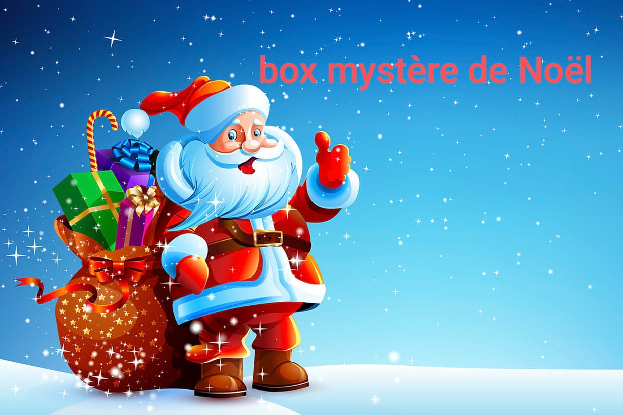 1 box mystère de Noël