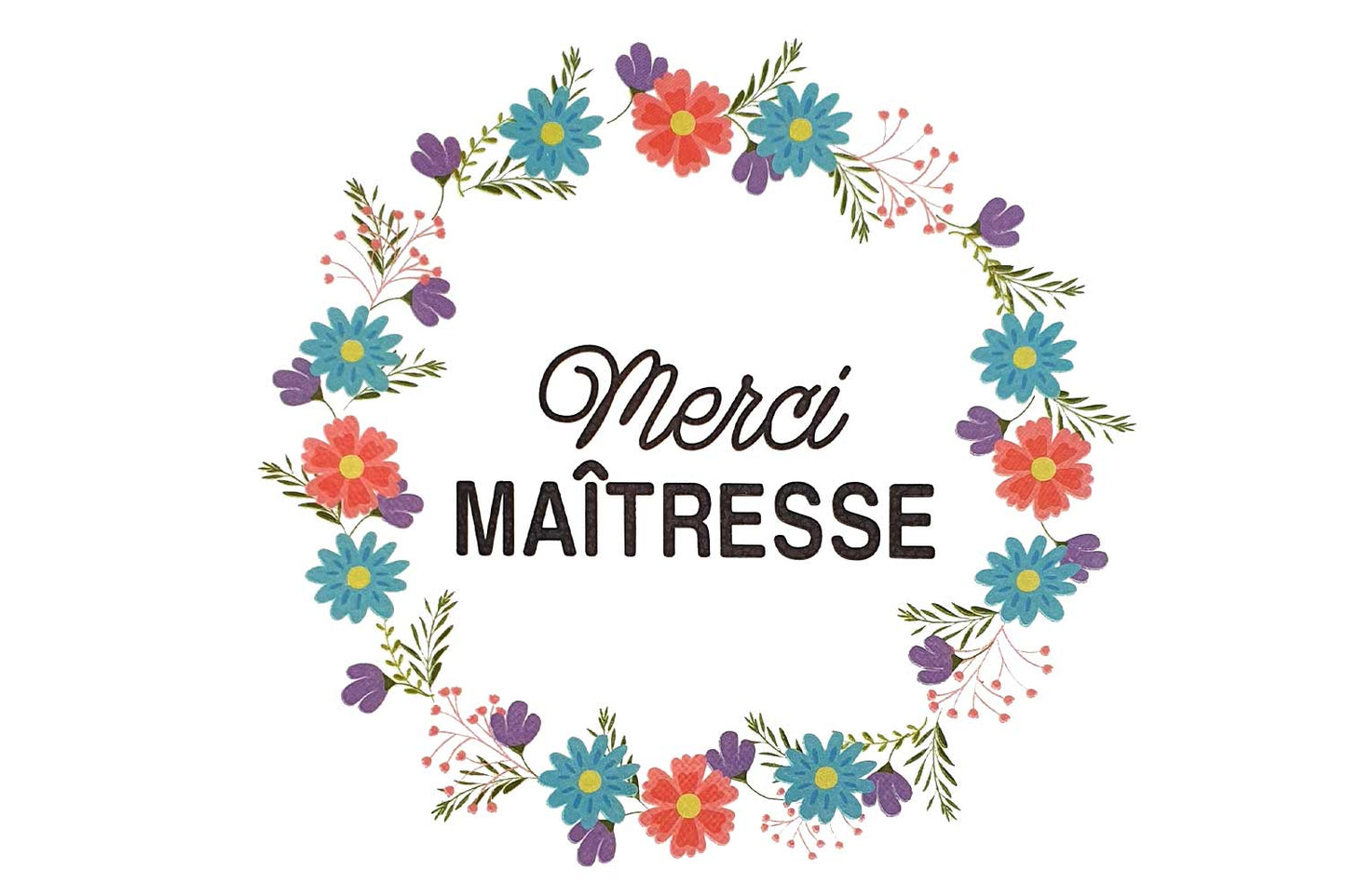 1 box mystère merci maître et maîtresse