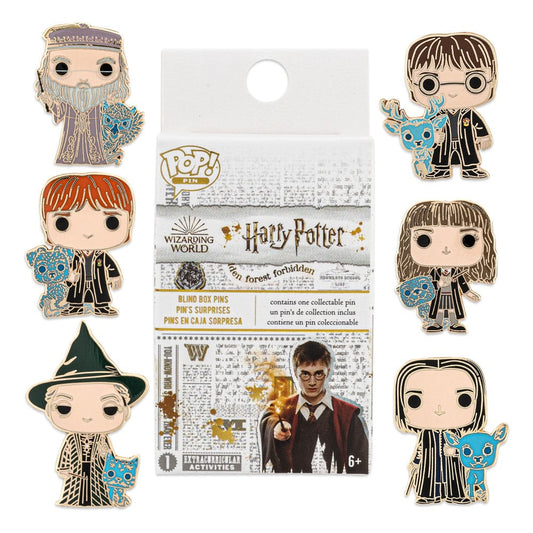 1 pin's harry potter mystère